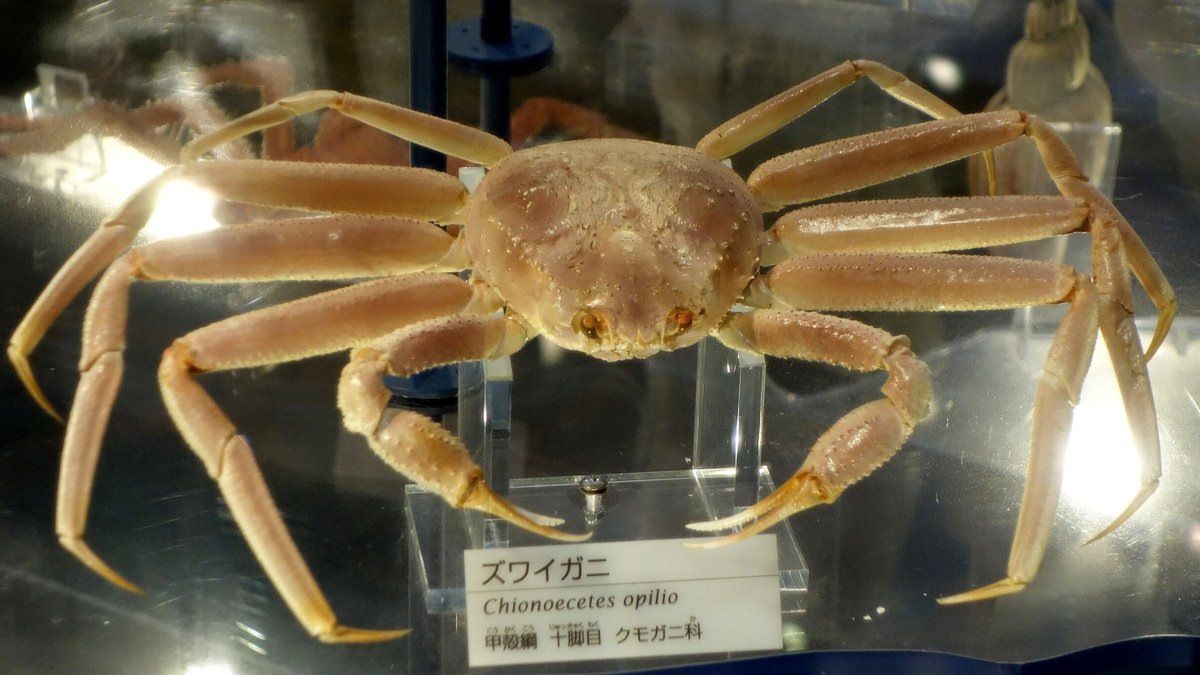 ������� ��������: � ������ ����� ��������� �����������