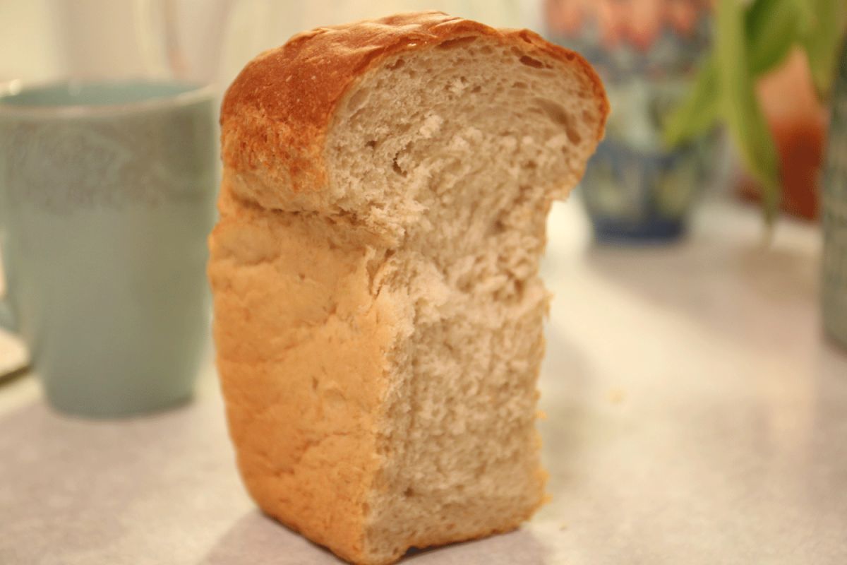 ������������ ��������� ������������ ���� �� �����: ������ ����������������