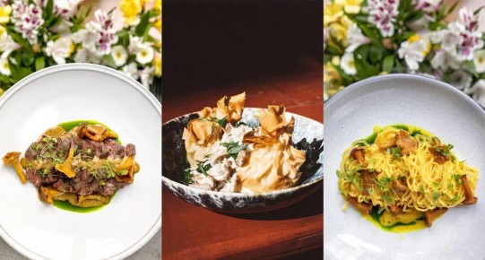 Как приготовить простые блюда с лисичками: секреты вкусных рецептов