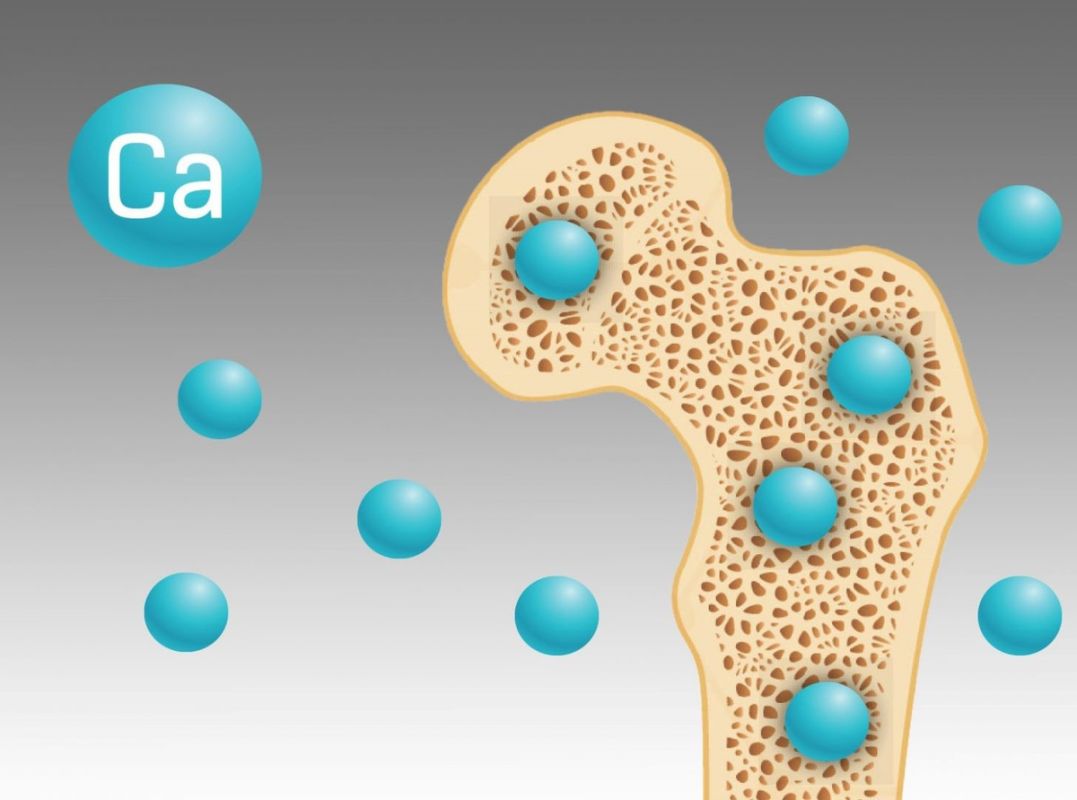 ��� ��������� �������: ��� �������� � ������, ����� �������� ����� � ��������� ������