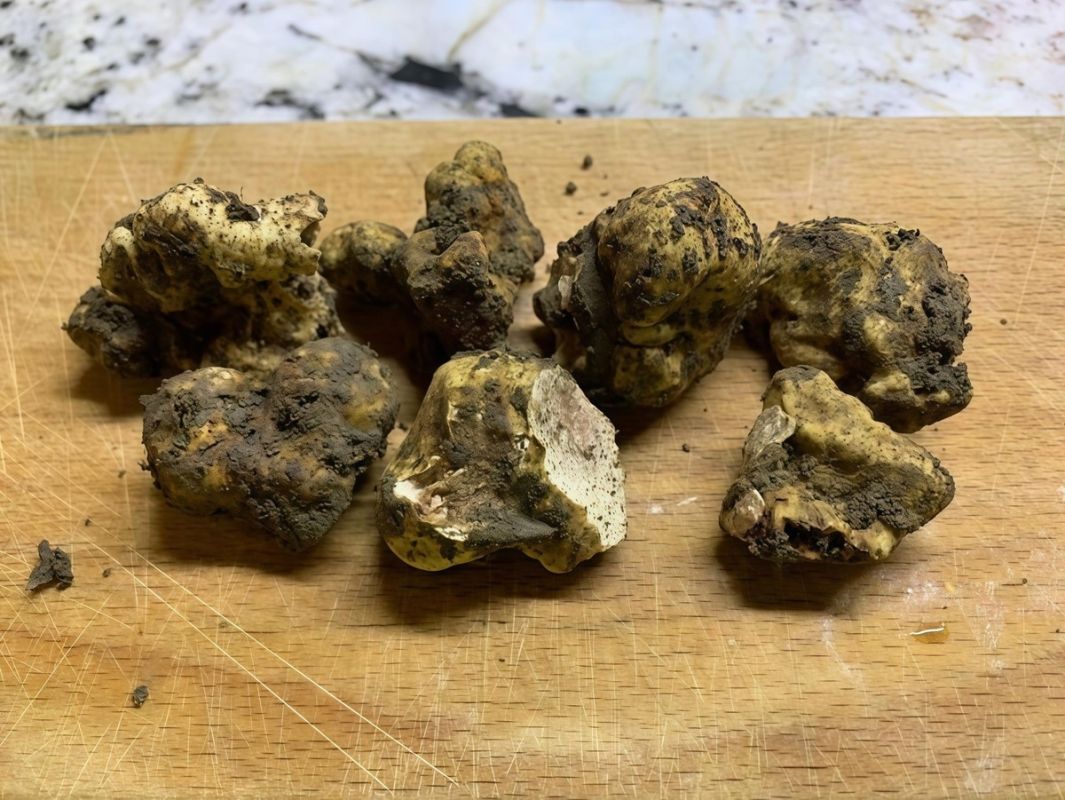 ���������� ��������: ����� ������� ������ � ����������� �����