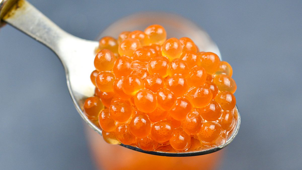 ��� ������ ������� ���� �� ����������� ����: ������� � ���������� ����������