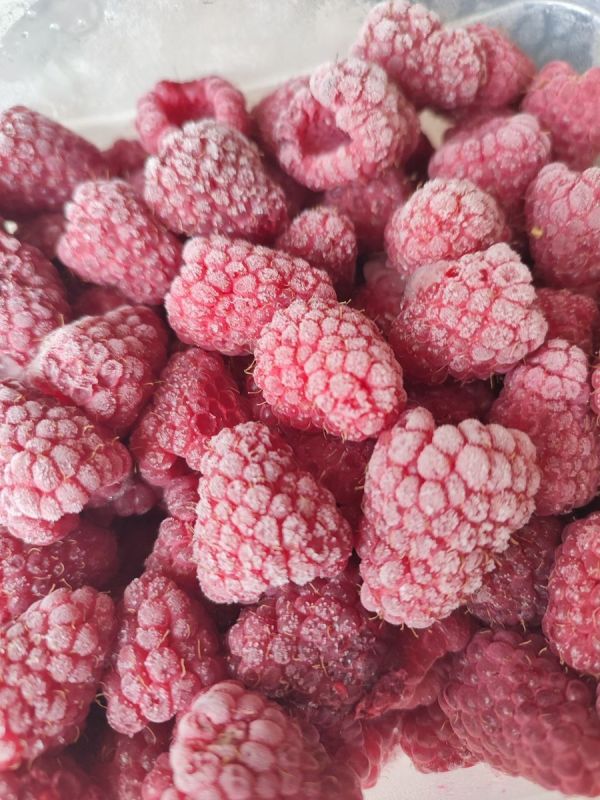 ������� �� �������������: ����� ������� �������� ���������� ����������