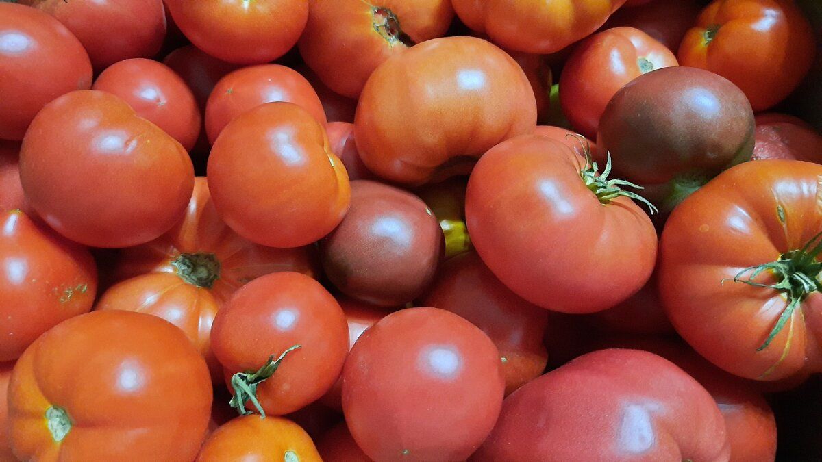 ��� ��������� ������ ��������: ������� � ��������� �� ����