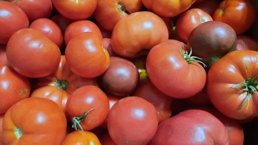 ��� ��������� ������ ��������: ������� � ��������� �� ����