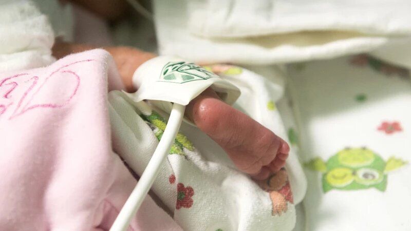 ��������������� ������������ ������� ������� ������ Nestle ��-�� �������� �������