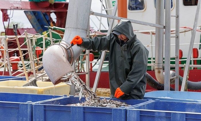 ������ �� ����� ������ ���������: ��� �������� � ������� ������ ������� ����