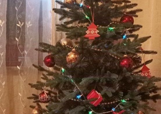 ����� ���: ������ ������������ � �������� ���������