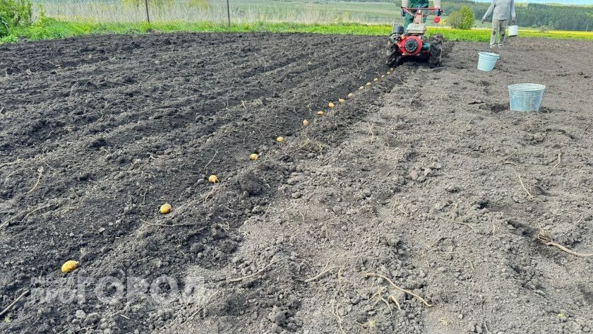 ��� ��������� ������ ��������� � 2026 ����: ������ ������� ���������