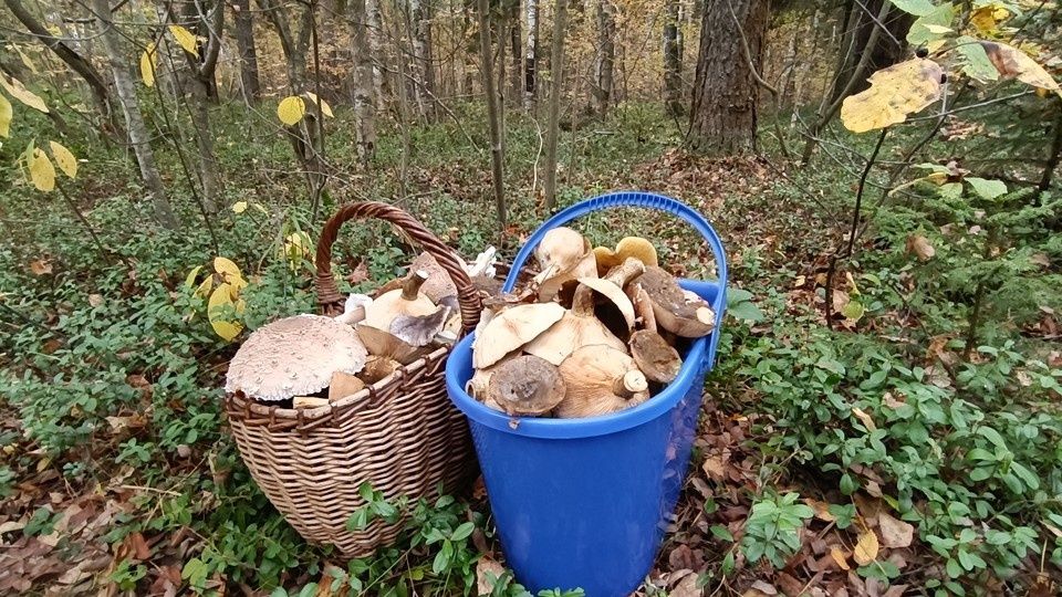 ����� ����� ����� ���� ������ ��� ��������