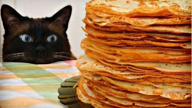 ����������� ��������: ����� ��������� 2026 ����