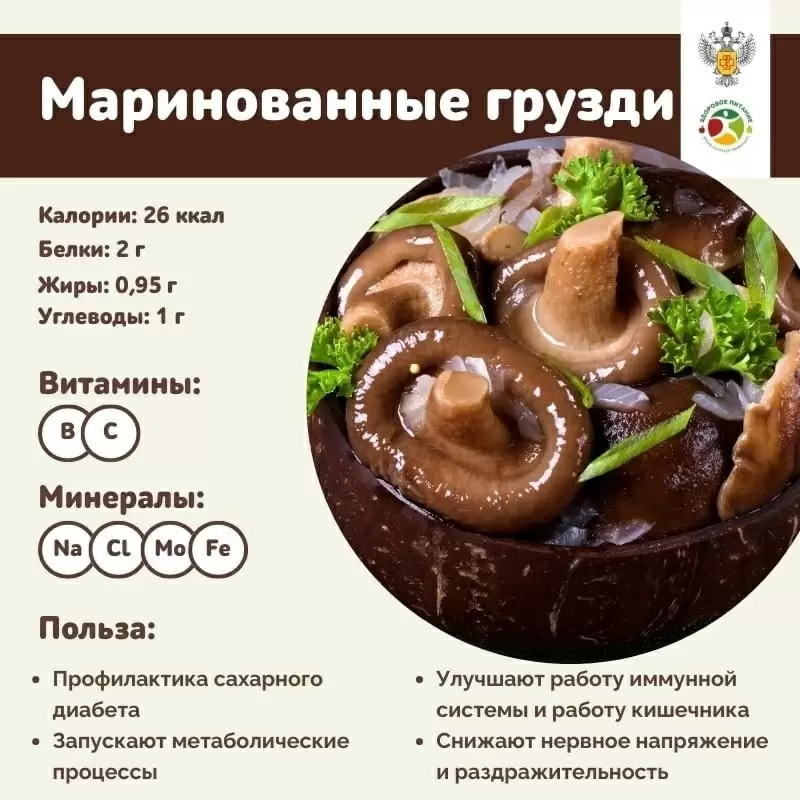 Маринованные грузди: полезные свойства и секреты выбора