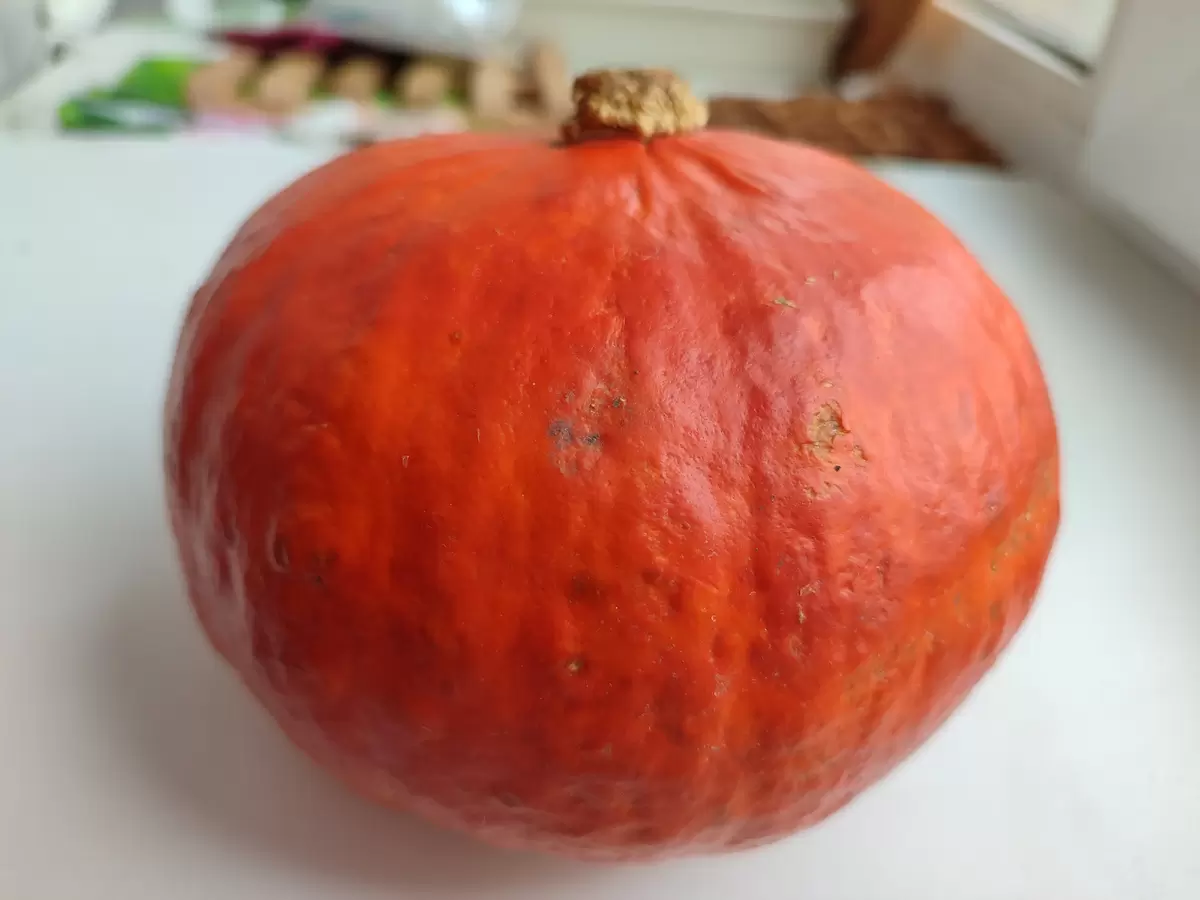 Необычные сырники: слияние тыквы, творога и сыра на пару