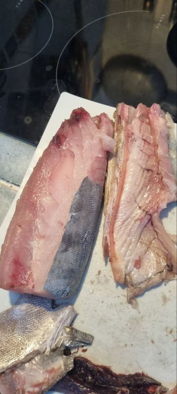 ����������� ����� ������������ �����: �� ������� �� �������� ���������