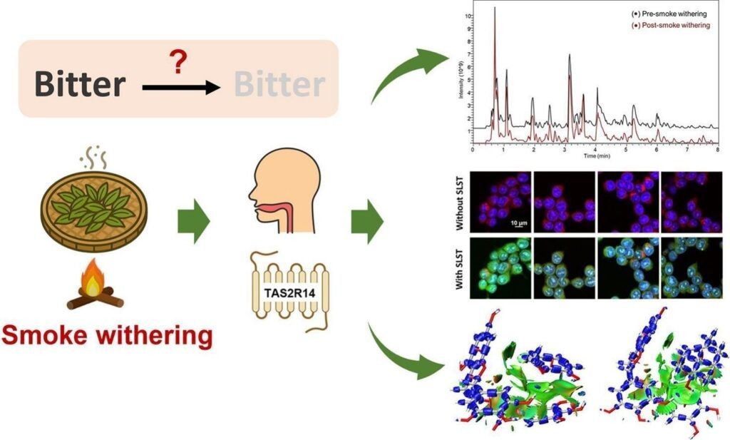 ��� ��� ������ ������� ������� ���������� ����