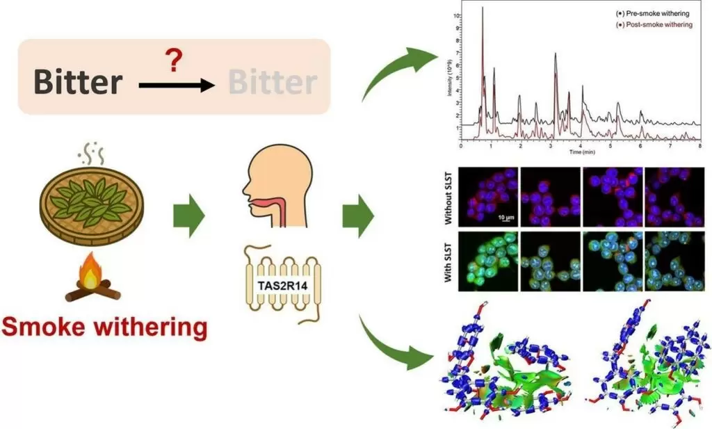 Как дым придаёт Лапсанг Сушонгу уникальный вкус