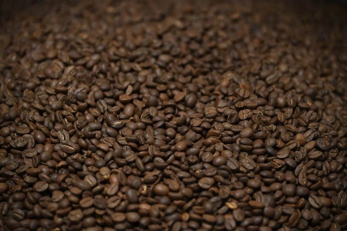 ���� � ���: ��� ��� ������� ����� �������� ��� ����