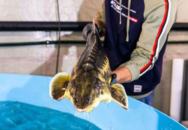 ������������ �������� ���� �� ����� ����� �������� ������