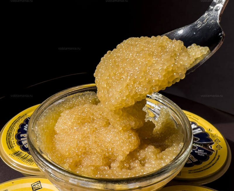 ����� ����: ������ ��������� � �������� � ��������������� ������