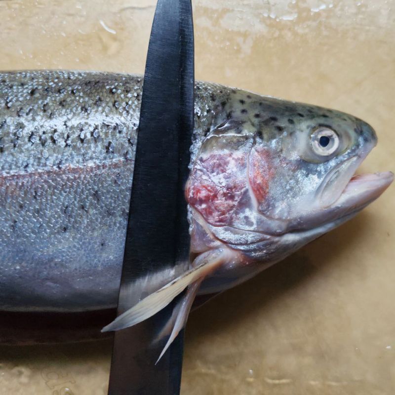 ��������� ������� ����: ����������� �������� ������