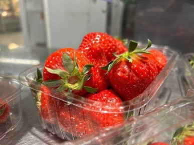 ���������� ������ ������ ����: �������� ������������ ��� ������������ �����