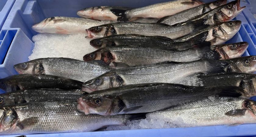 ��� ��������� �������� ���� ��� ���������: ������ ���-�������