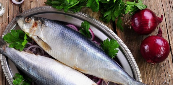 ������������� ������ �������������: ��� ������� ��������� ������ ��� ������ �����