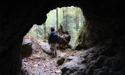 ����� ������� ������������� ������: �� ������������� �� ������������