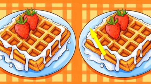 ������ �� �����: ������� ������� �� 20 ������ � ��������� ���� ��������������