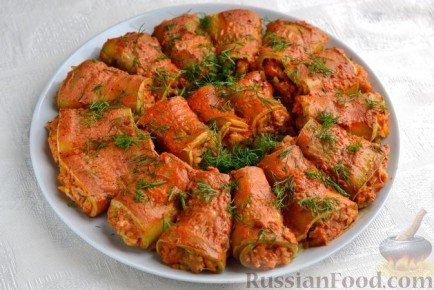 ���� ������ �������� � ���������: �������� ���� ����