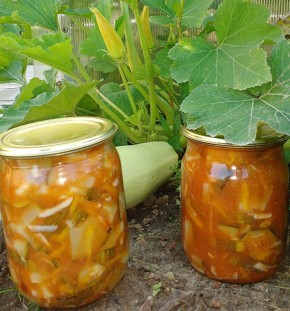 ������� �� �������� �� ����: ������������ ������ ��� ��������