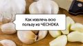 ��� �������� ��������� ���� �������: ������� ��� ������������ ��� ��������
