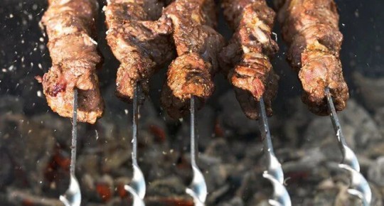 Шашлыки и гриль: у огня и удовольствия