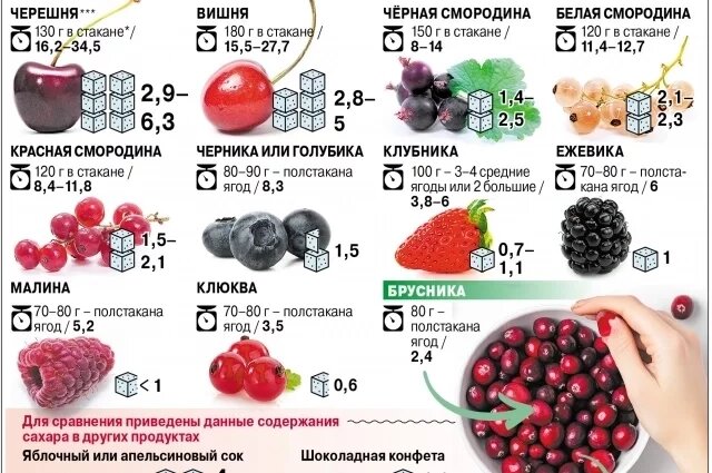 Сколько ягод можно съесть, чтобы не навредить здоровью?