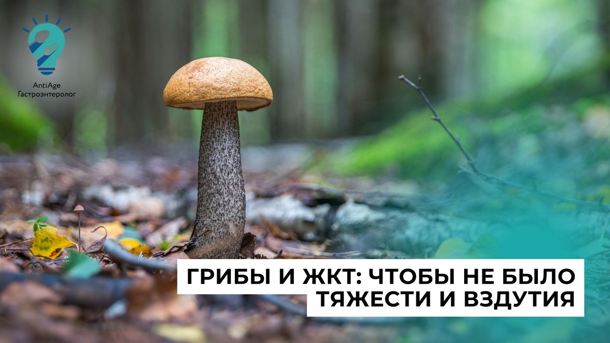 Грибы и проблемы с ЖКТ: мифы и факты о влиянии на здоровье