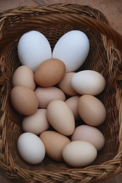 Три базовых продукта для здоровья, которые стоит держать на кухне